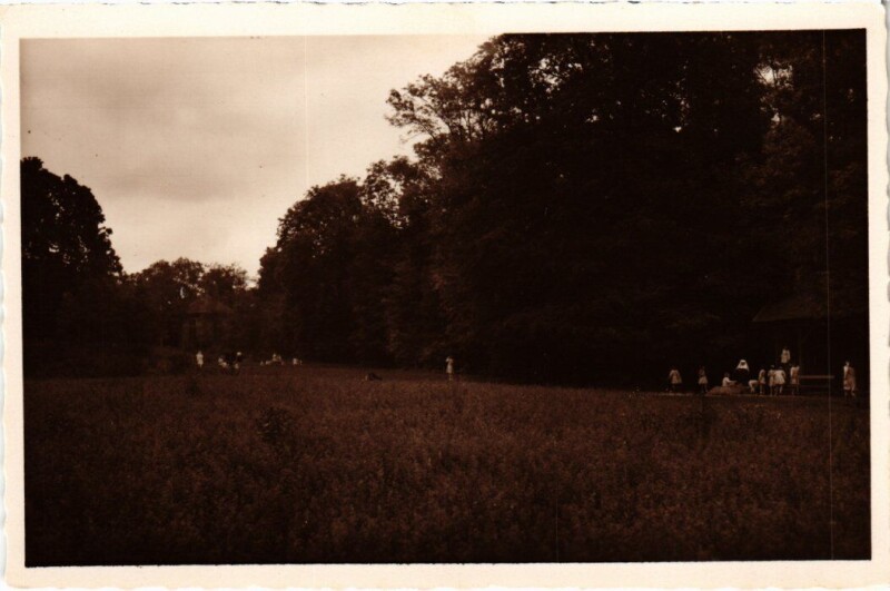 Carte postale ancienne Draveil Champrosay Preventorium Minoret à Draveil