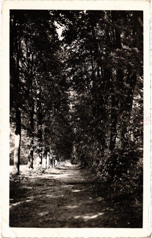 Carte postale ancienne Draveil Champrosay Georges Laure, le Parc à Draveil