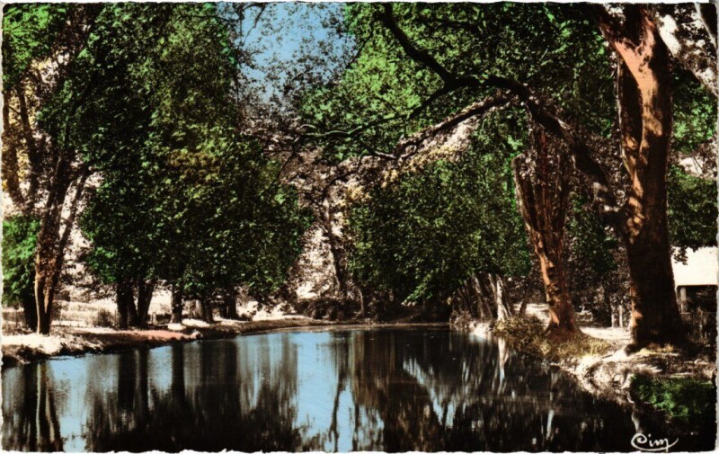 Carte postale ancienne Draveil Etang de Paris Jardins à Draveil