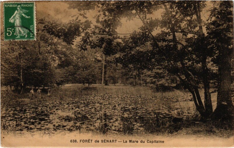 Carte postale ancienne Draveil Foret de Senart Mare du Capitaine à Draveil
