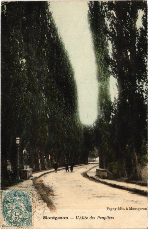 Carte postale ancienne Montgeron Allee des Peupliers à Montgeron