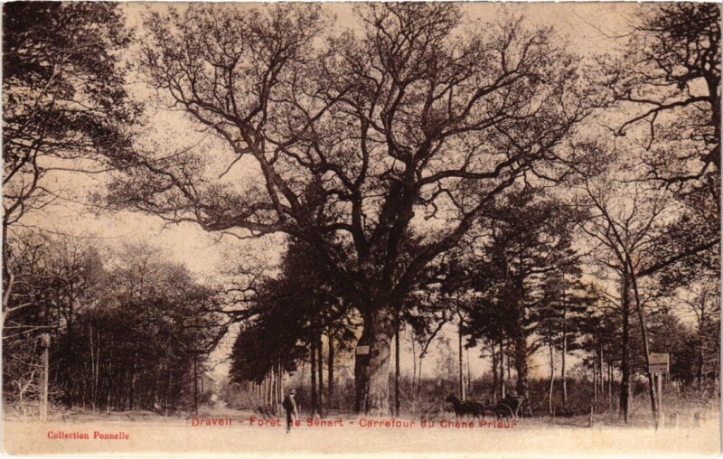 Carte postale ancienne Draveil Foret de Senart Carrefour du Chene Prieur à Draveil