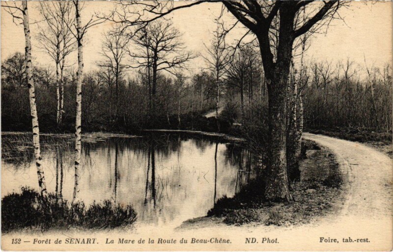 Carte postale ancienne Draveil Foret de Senart La mare de la Route à Draveil