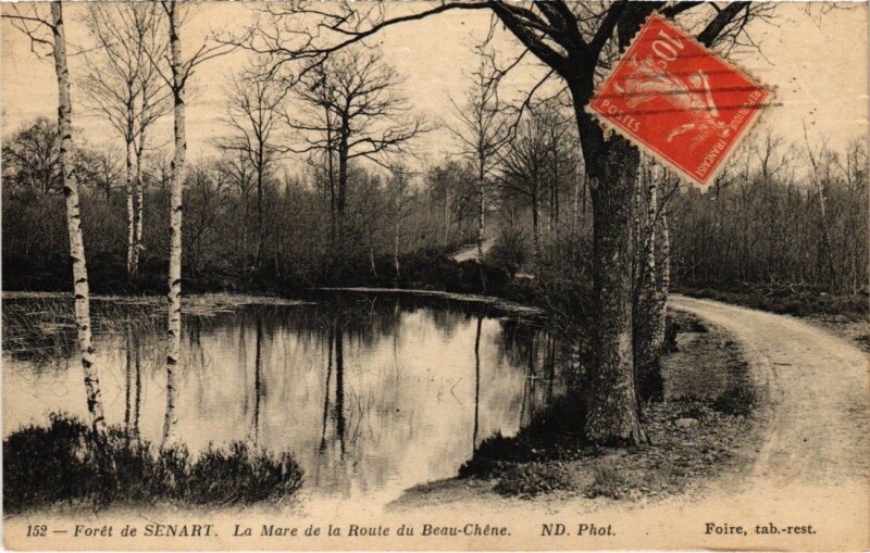 Carte postale ancienne Draveil Foret de Senart La mare de la Route à Draveil