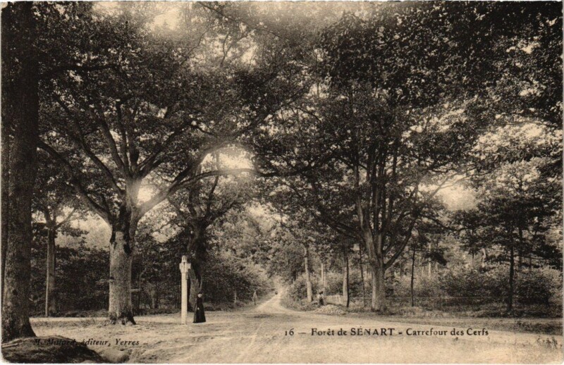 Carte postale ancienne Draveil Foret de Senart Carrefour des Cerfs à Draveil