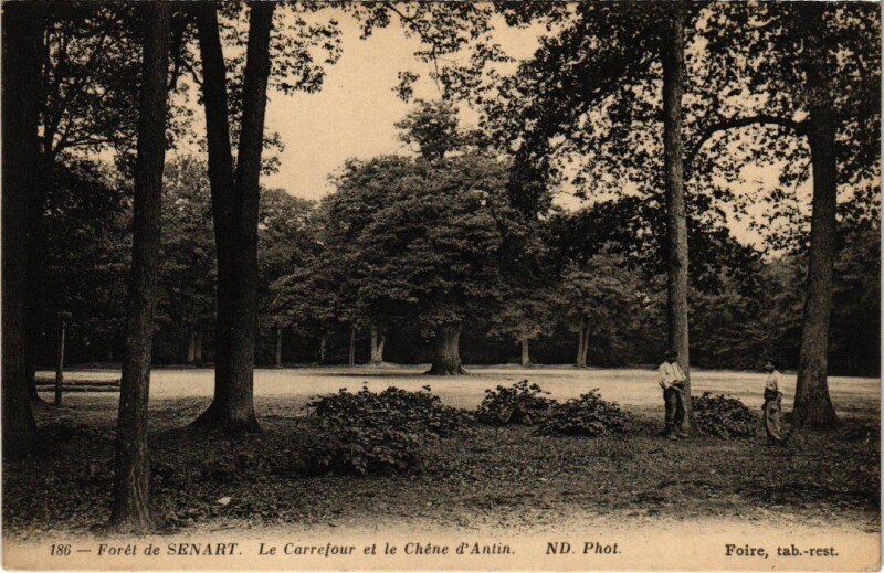 Carte postale ancienne Draveil Foret de Senart Le Carrefour à Draveil