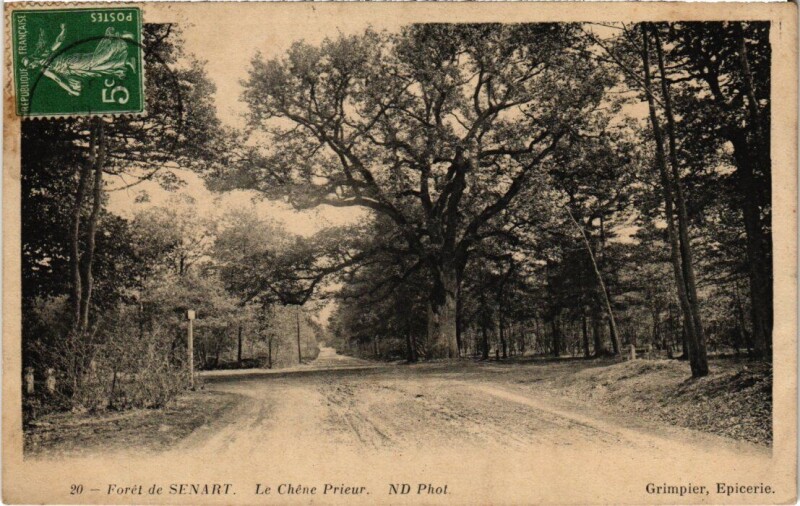 Carte postale ancienne Draveil Foret de Senart Chene Prieur à Draveil