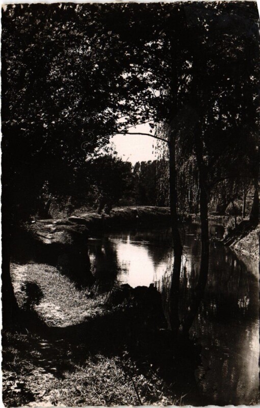 Carte postale ancienne Ste Genevieve des Bois Les bords de l'Orge