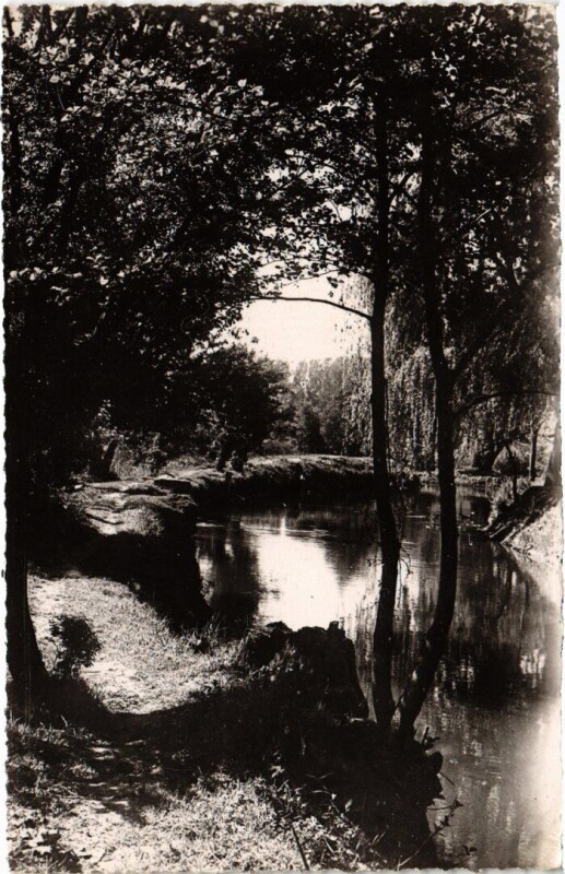 Carte postale ancienne Ste Genevieve des Bois Les bords de l'Orge