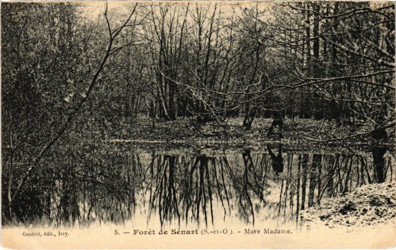 Carte postale ancienne Draveil Foret de Senart Mare Madame à Draveil