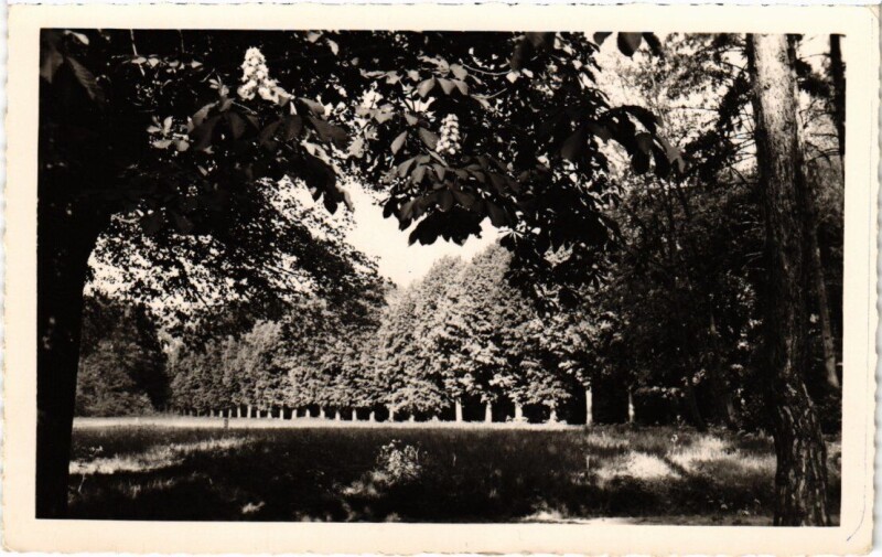 Carte postale ancienne Draveil Champrosay Georges Laure, le Parc à Draveil