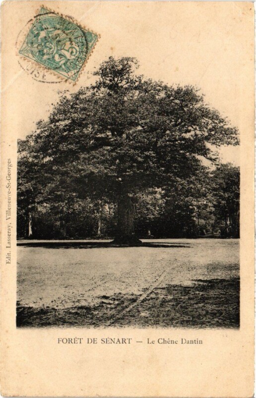 Carte postale ancienne Draveil Foret de Senart Chene Dantin à Draveil