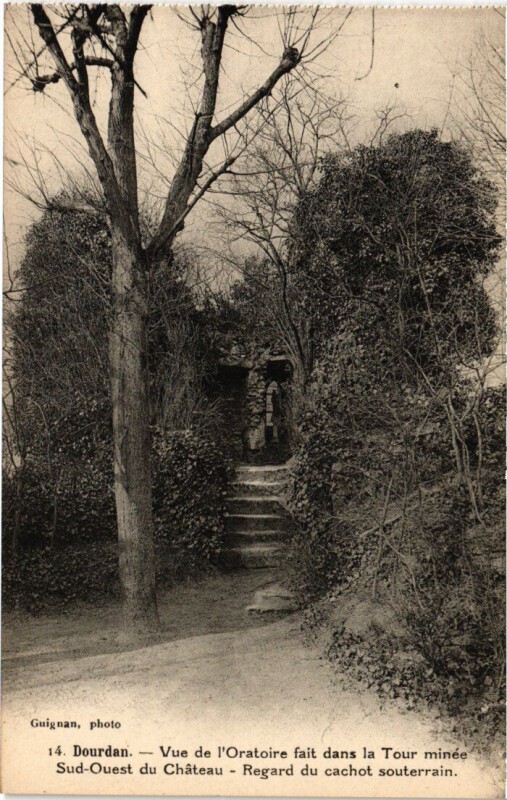 Carte postale ancienne Dourdan vue de l'Oratoire à Dourdan