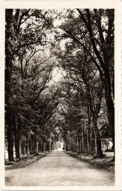 Carte postale ancienne Montgeron à Montgeron
