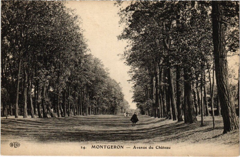 Carte postale ancienne Montgeron Avenue du Chateau à Montgeron