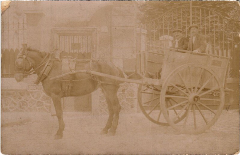 Carte postale ancienne Horse Wagon - Photo Postcard