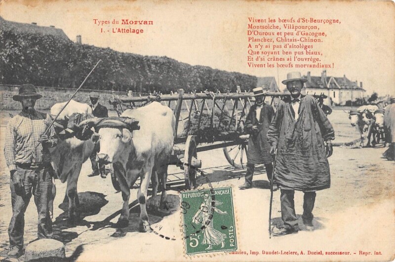 Carte postale ancienne Types Du Morvan - L'Attelage