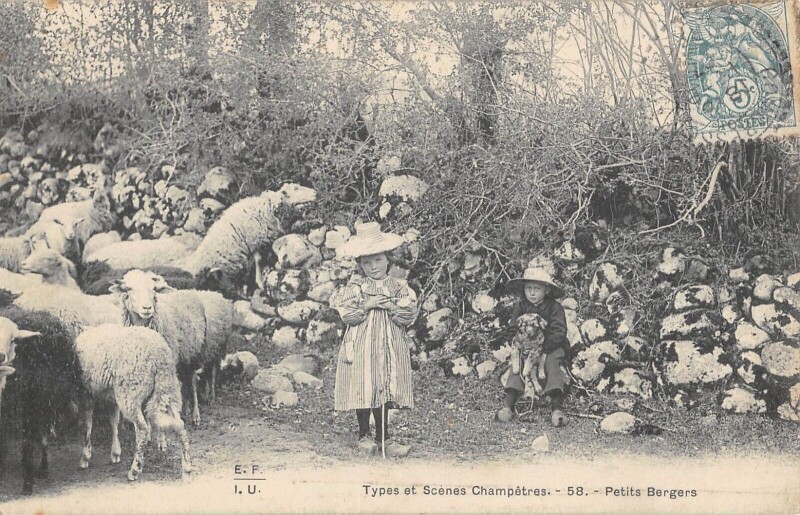 Carte postale ancienne Types Et Scenes Champetres - Petits Bergers
