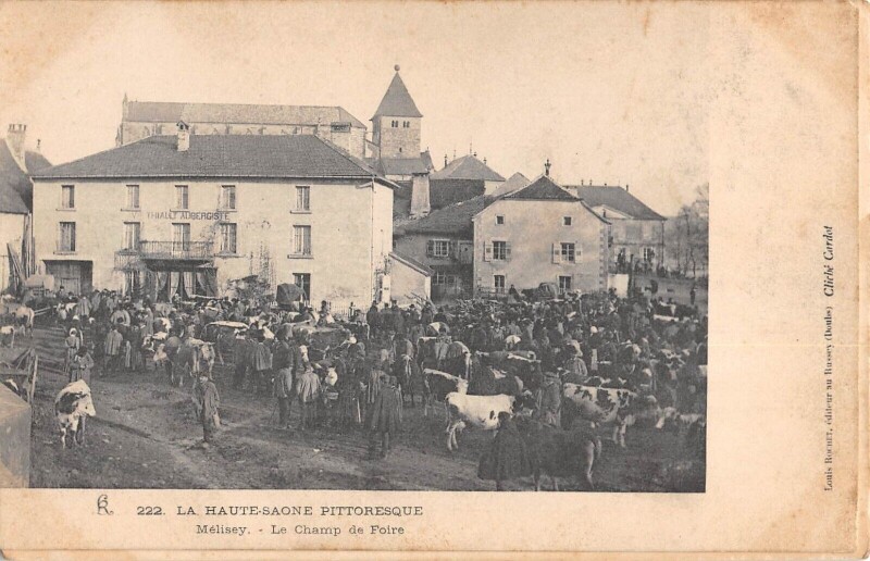 Carte postale ancienne Melisey - Le Champ De Foire