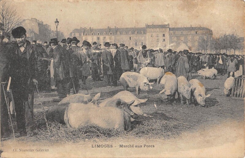 Carte postale ancienne Limoges - Marche Aux Porcs à Limoges