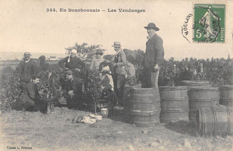 Carte postale ancienne En Bourbonnais - Les Vendanges