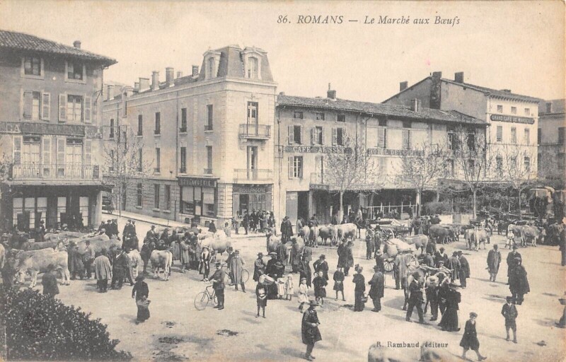 Carte postale ancienne Romans / Le Marche Aux Boeufs
