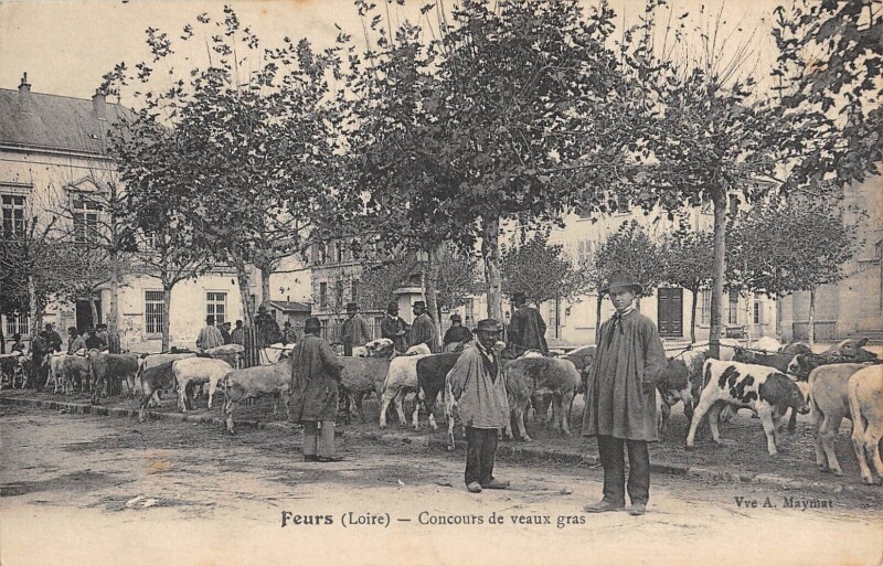 Carte postale ancienne Feurs - Concours De Veaux Gras à Feurs