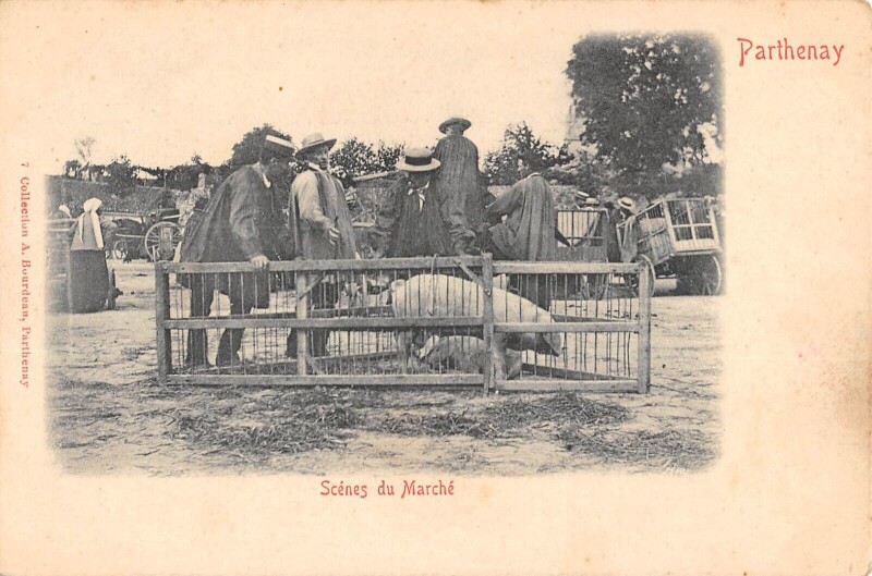 Carte postale ancienne Parthenay - Scenes De Marche à Parthenay