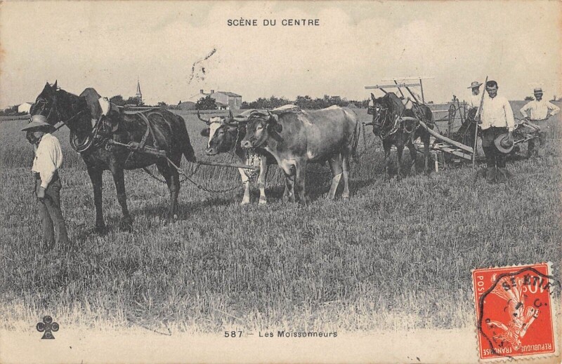 Carte postale ancienne Scene Du Centre / Les Moissonneurs