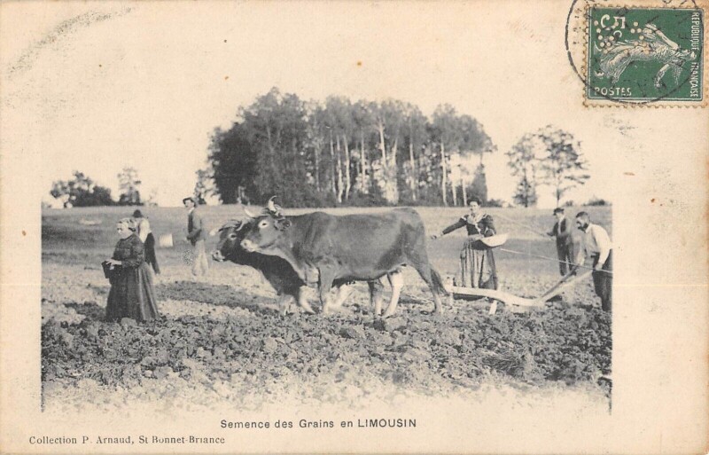 Carte postale ancienne Semence Des Grains En Limousin