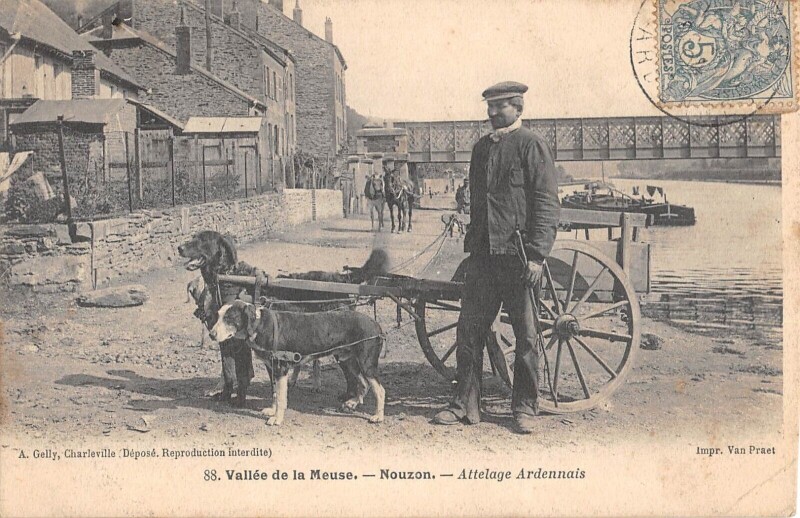 Carte postale ancienne Vallee De La Meuse - Nouzon - Attelage Ardennais - Attelage A Chien