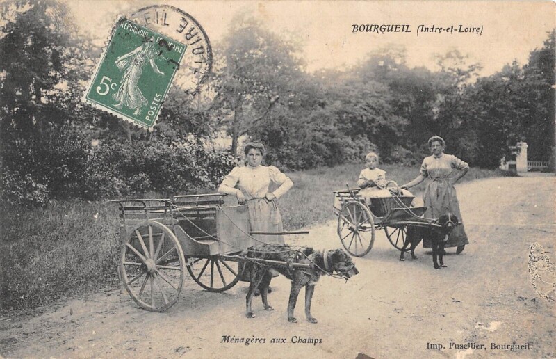Carte postale ancienne Bourgueil - Menageres Aux Champs - Attelage A Chien à Bourgueil