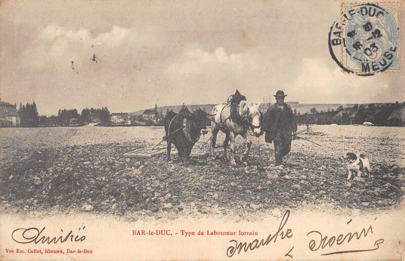 Carte postale ancienne Bar Le Duc / Type De Laboureur Lorrain à Bar-le-Duc