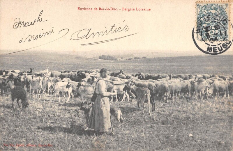 Carte postale ancienne Environs De Bar Le Duc / Bergere Lorraine à Bar-le-Duc