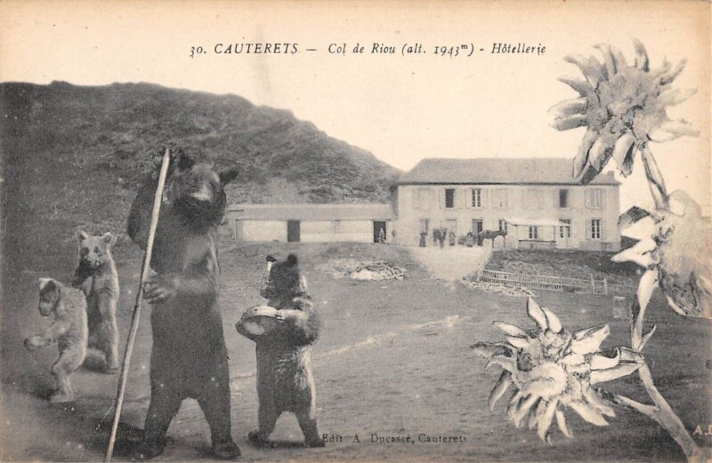 Carte postale ancienne Cauterets / Col De Riou / Hotellerie / Montreur D'Ours à Cauterets
