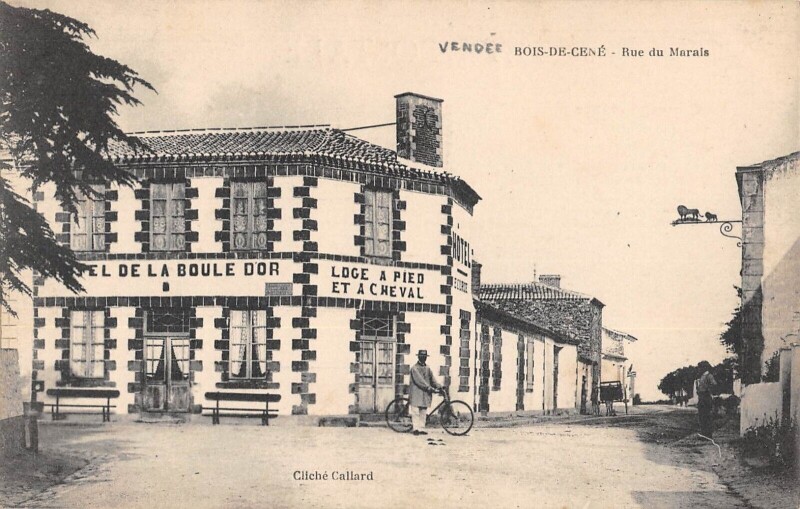 Carte postale ancienne Bois De Cene - Rue Du Marais