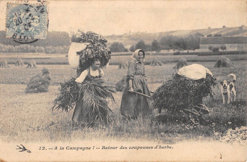 Carte postale ancienne A La Campagne - Retour Des Coupeuses D'Herbe