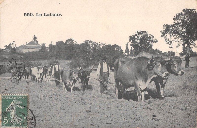 Carte postale ancienne Agriculture - Le Labour