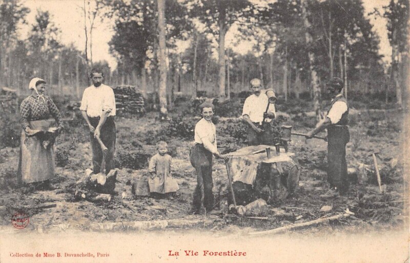 Carte postale ancienne Agriculture - La Vie Forestiere