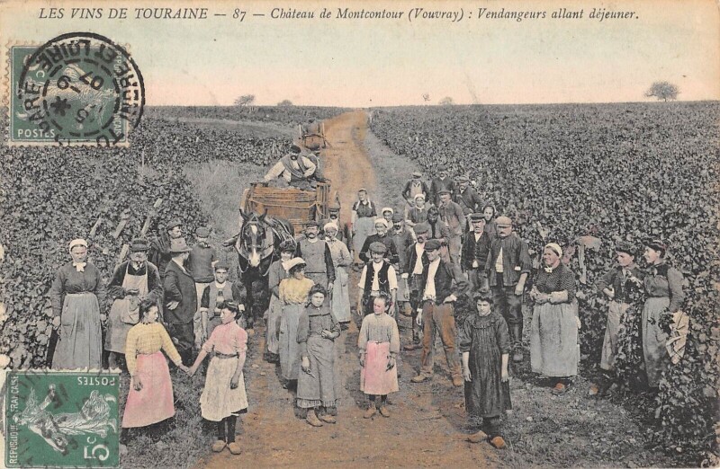 Carte postale ancienne Les Vins De Touraine / Chateau De Montcontour / Vouvray / Vendangeurs All à Vouvray
