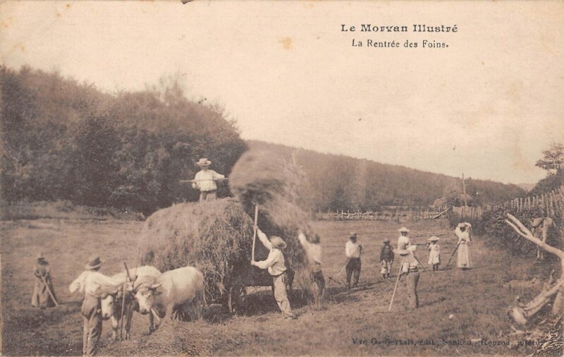 Carte postale ancienne Le Morvan Illustre / La Rentree Des Foins