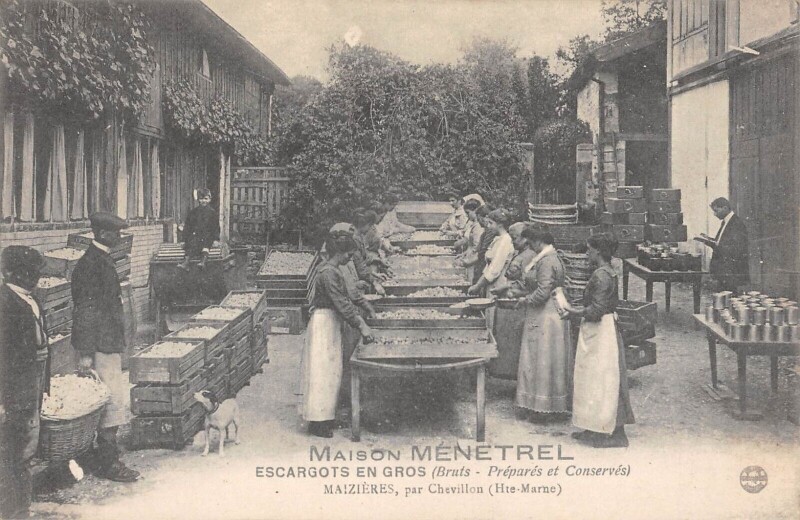 Carte postale ancienne Maizieres Par Chevillon - Maison Menetrel - Escargots En Gros à Chevillon