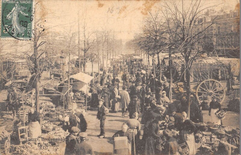 Carte postale ancienne Angers - Boulevard De La Mairie - Le Marche à Angers