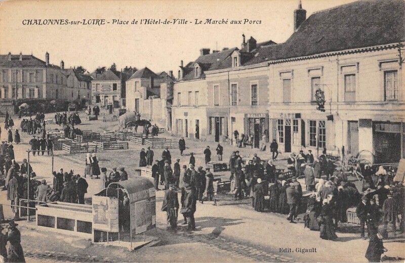 Carte postale ancienne Chalonnes Sur Loire / Place De L'Hotel De Ville / Le Marche Aux Porcs à Chalonnes-sur-Loire