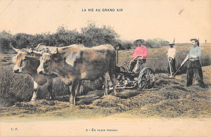 Carte postale ancienne Agriculture - La Vie Au Grand Air - En Plein Travail