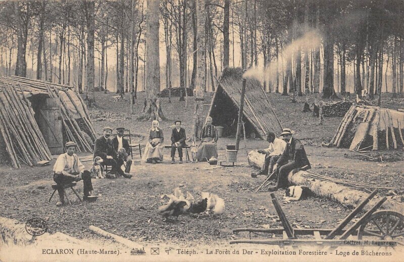 Carte postale ancienne Eclaron - La Foret Du Der - Exploitation Forestiere - Loge Des Bucherons