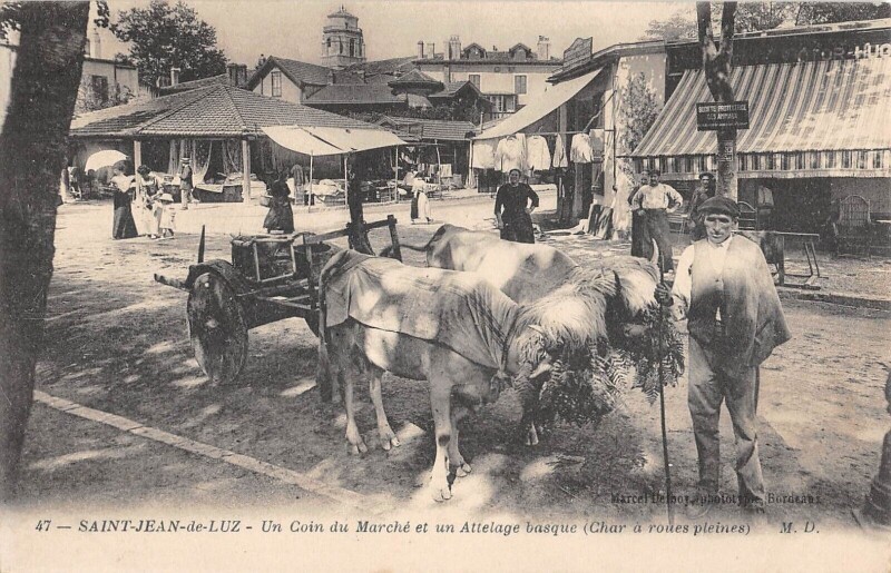 Carte postale ancienne Saint Jean De Luz / Un Coin Du Marche Et Un Attelage Basque / Char A Roue à Saint-Jean-de-Luz