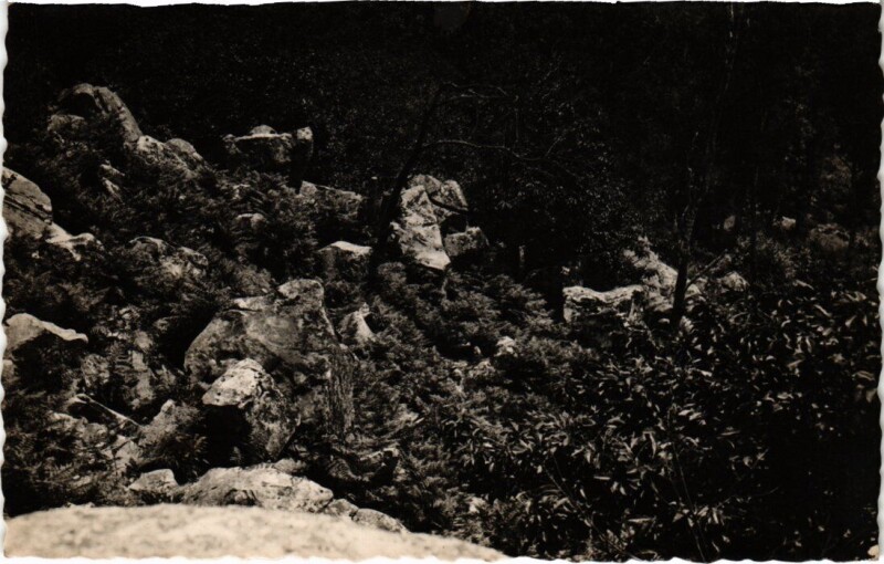 Carte postale ancienne Chamarande Les Roches à Chamarande