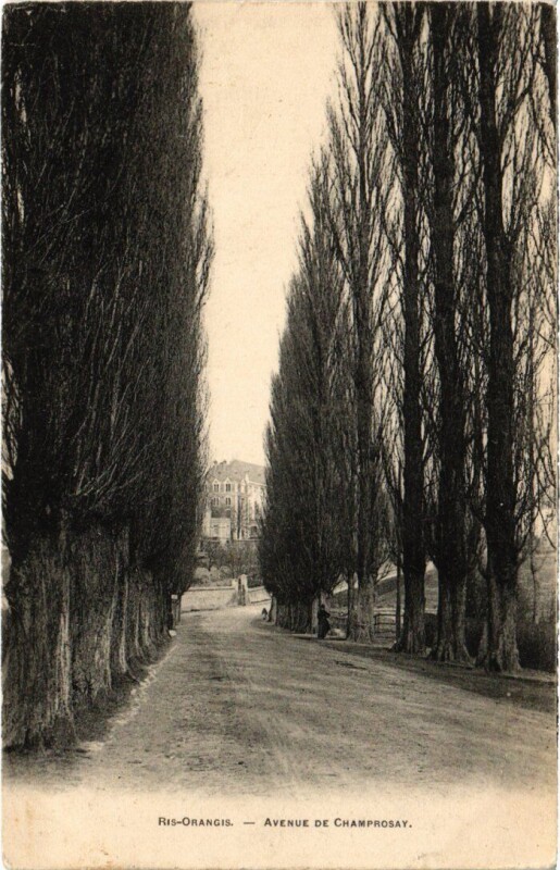 Carte postale ancienne Ris-Orangis Avenue de Champrosay à Ris-Orangis