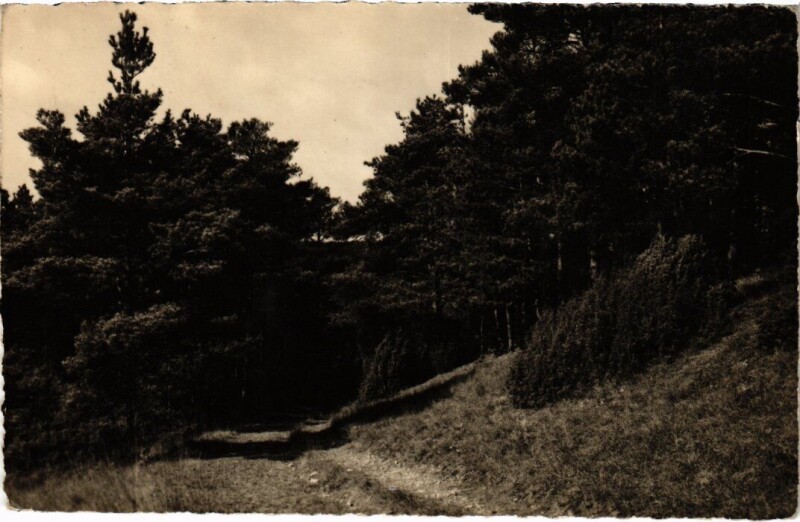 Carte postale ancienne Boissy-la-Riviere Un Chemin